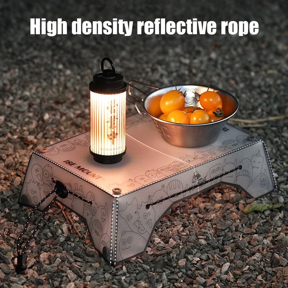 Tavolo da Campeggio Pieghevole - Camping Cooking Table recensione e prezzo
